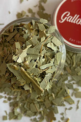 Eucalyptus  leaves